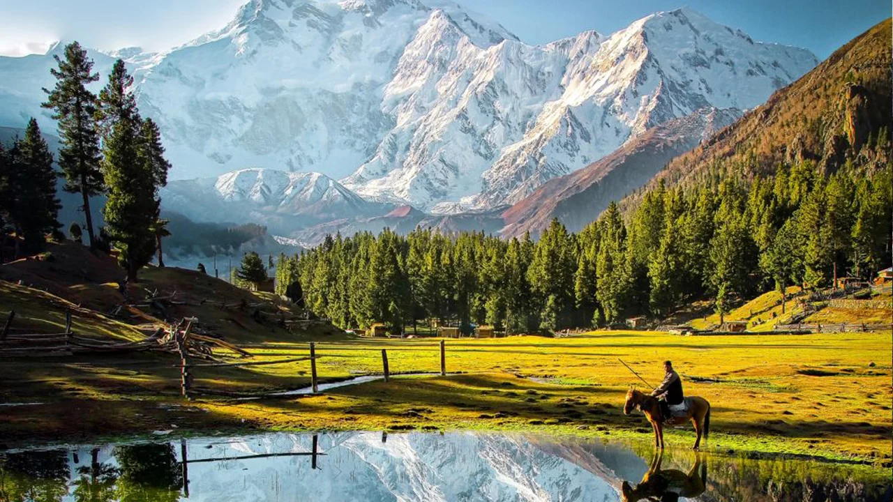 Hunza Fairy Meadows